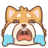 ┐▐╞ⁿ