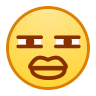 ┤⌠